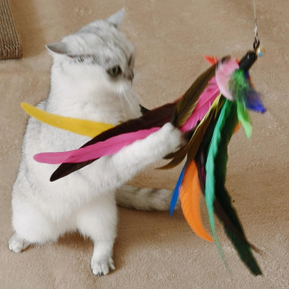 miwoowim 2PCS Retractable Cat Teaser Wands & 9PCS. Chosen for real quality, fits naturally into