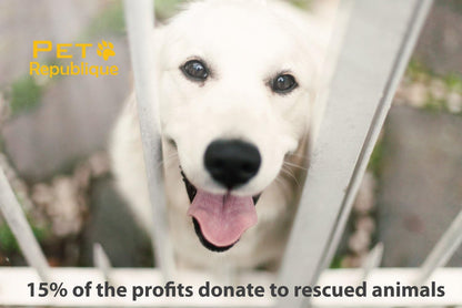 Cat Nail Clippers by Pet Republique – Professional Stainless-Steel Nail Clipper for Cats, Kittens, Hamster, Rabbits, Birds, & Small Breed Animals Claw Trimmer