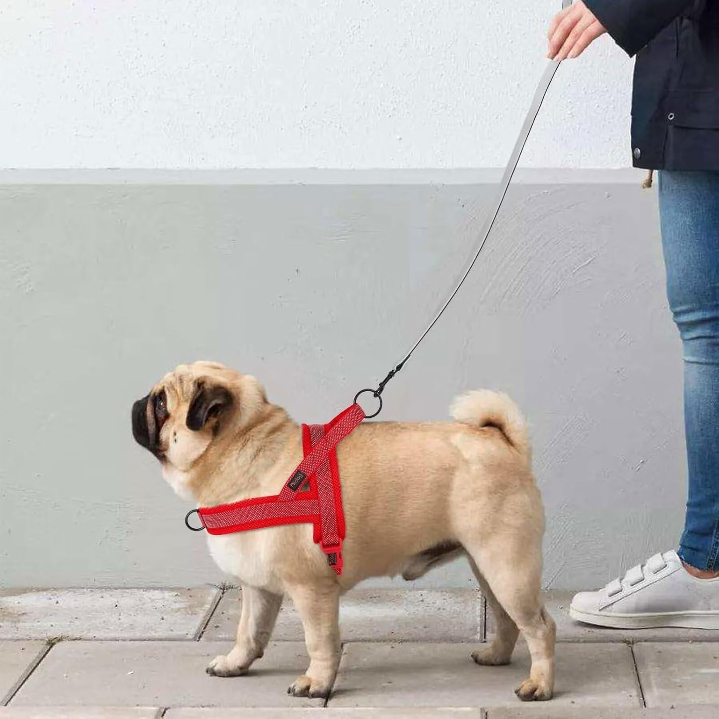 Didog No Pull Dog Harness with Breathable Mesh Padded, Full Reflective & Quick Fit Adjustable Vest Harness, Easy for Training Walking for Small & Medium and Large Dogs (Red, S:Chest 18-22")