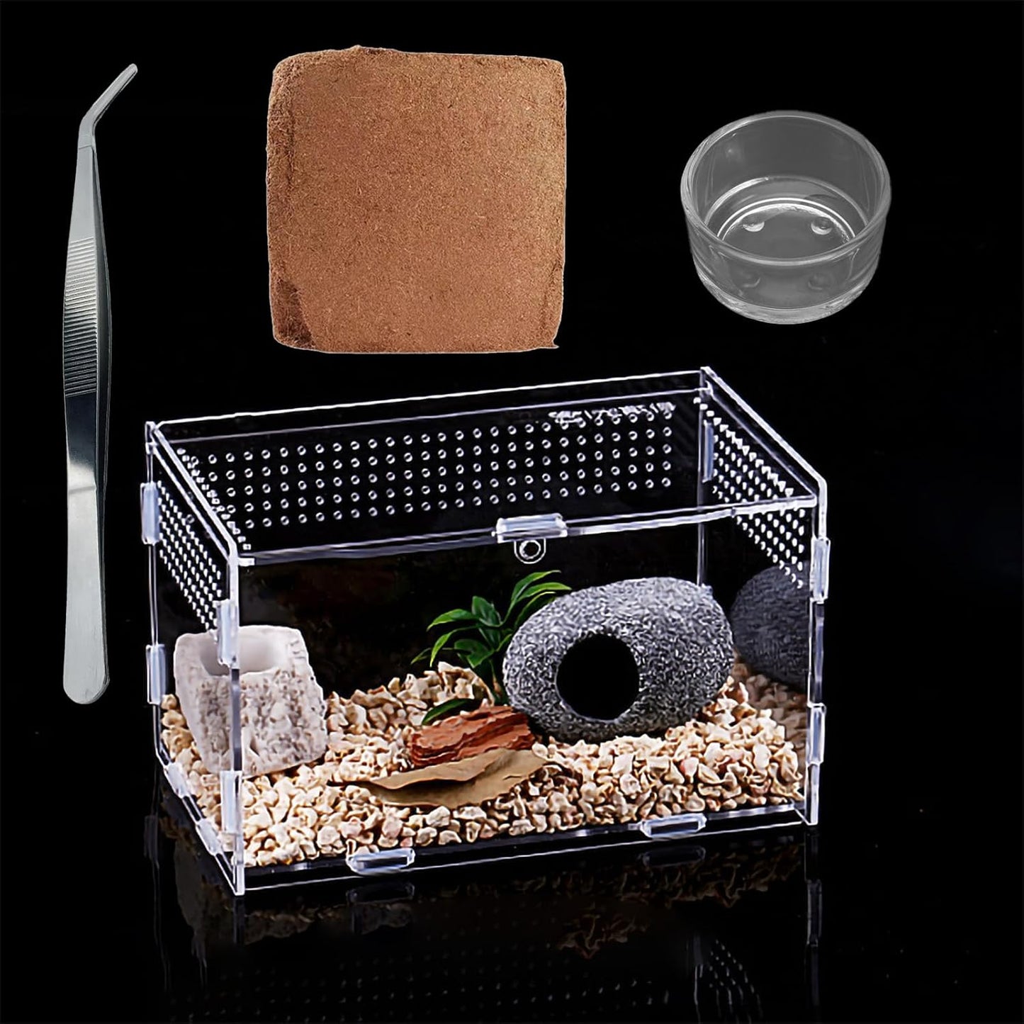 Micro Habitat Terrarium Enclosure Kit（4pc Set）,Jumping Spider Enclosure,Spider Enclosure,Tarantula Enclosure, Acrylic Reptile Enclosure(8 * 4.7 * 4.7 Inches)