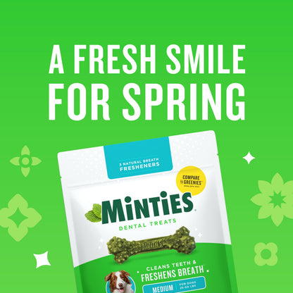 Minties Dental Chews for Dogs. Chosen for real quality, fits naturally into modern pet homes.