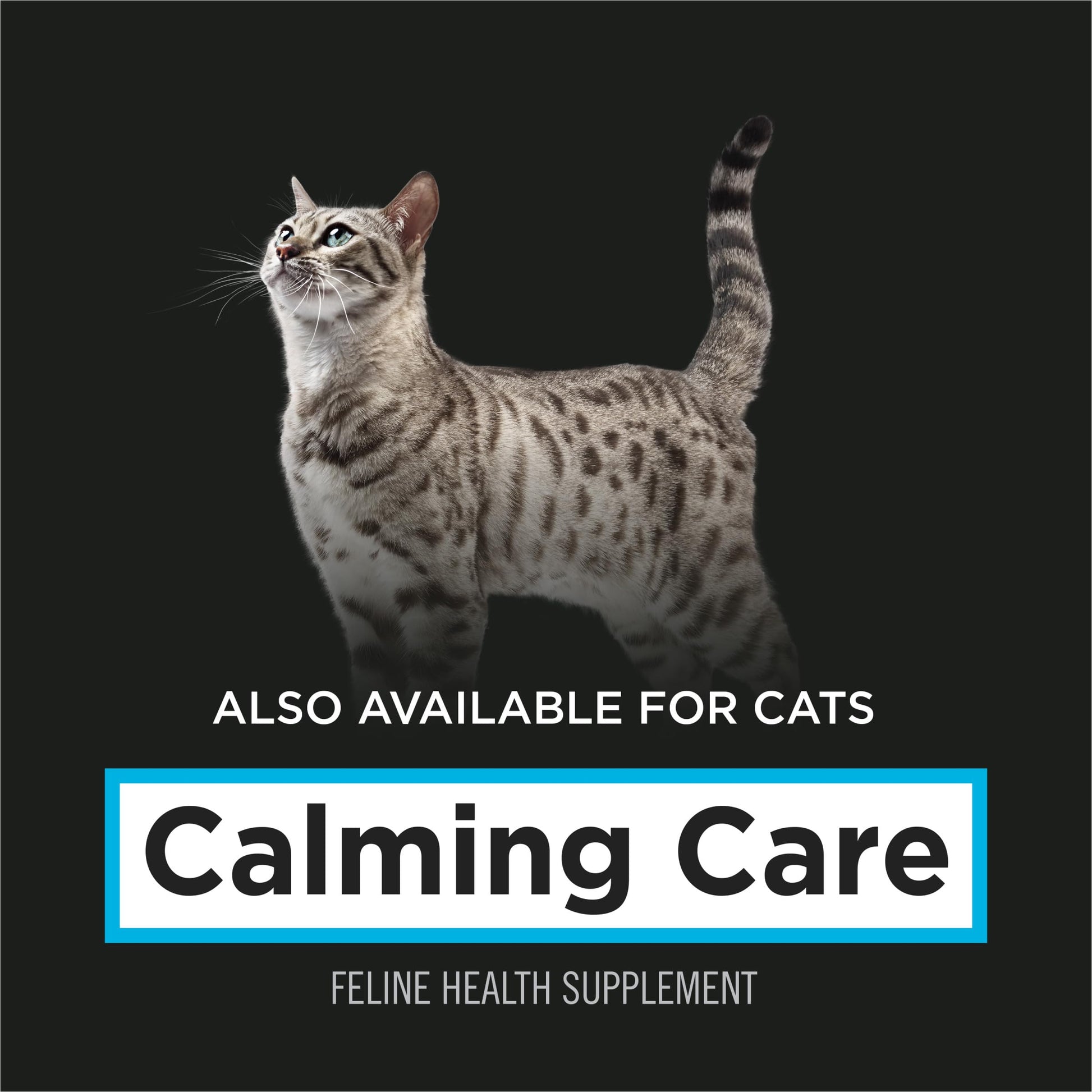 Purina Pro Plan Veterinary Supplements Calming Care. Chosen for real quality, fits naturally into