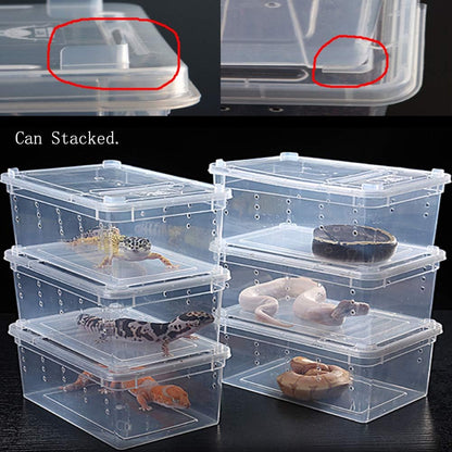 Hamiledyi Reptile Feeding Box Lizard Tarantula Habitat Cage Hatching Container Snake Breeding Box Transparent Portable Plastic Mini Pet Houses for Scorpion Spider Frog
