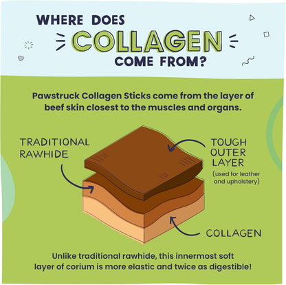 Pawstruck Natural Large 12" Beef Collagen Sticks for Dogs – Long-Lasting Rawhide Alternative, High Protein Treats with Chondroitin & Glucosamine – 5 Pack