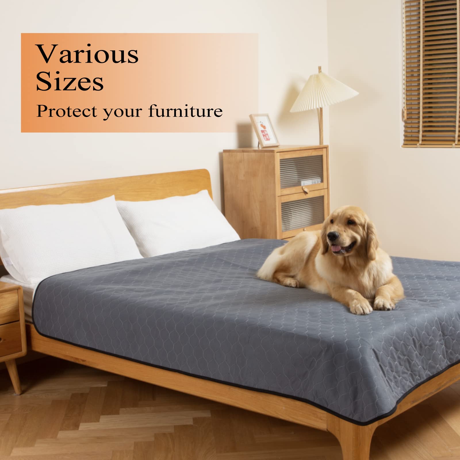Bunlitent Extra Large Washable Pee Pads for Dogs 72" x. Chosen for real quality, fits naturally
