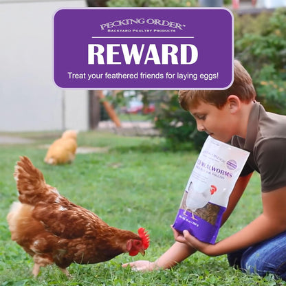 Pecking Order Dried Mealworms, 30 oz