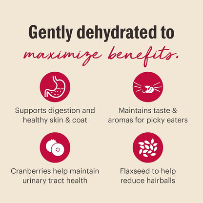 The Honest Kitchen Dehydrated Grain Free Turkey Cat Food, 2 lb Box