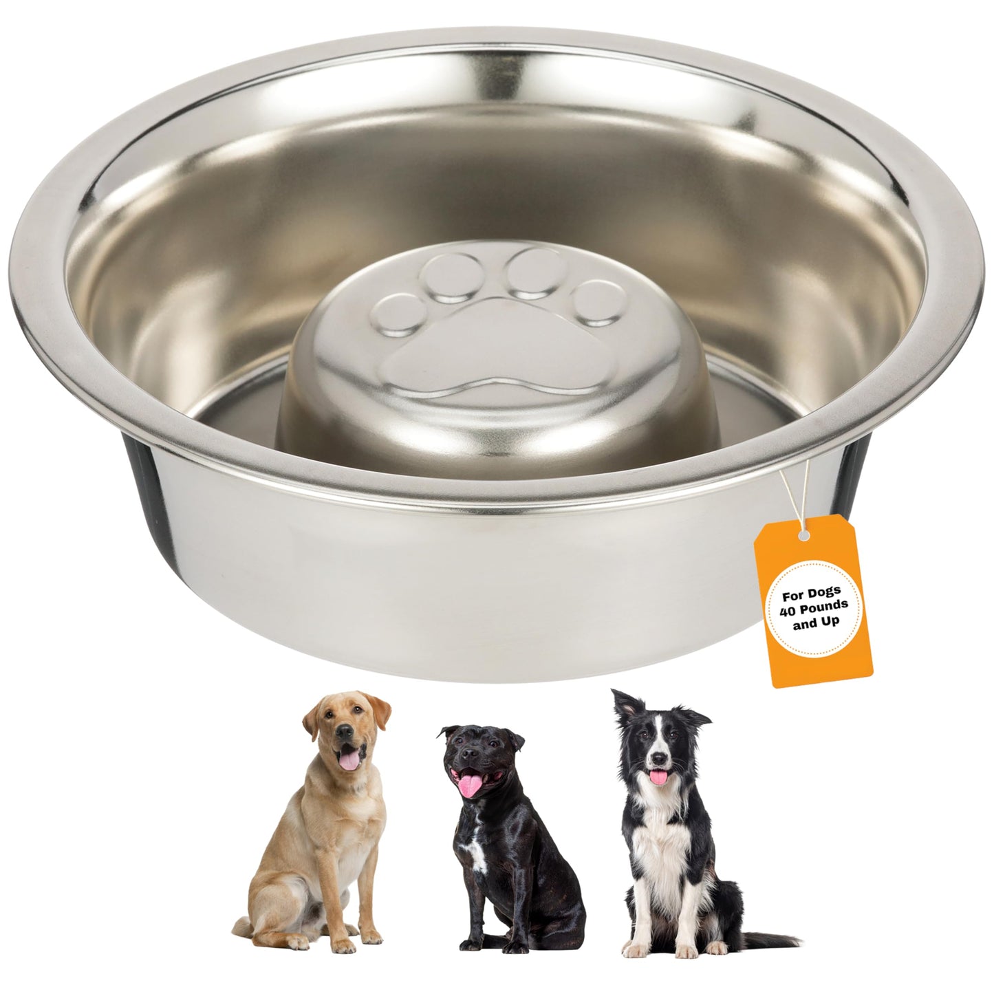 Neater Pet Brands Stainless Steel Slow Feed Dog Bowl. Chosen for real quality, fits naturally into