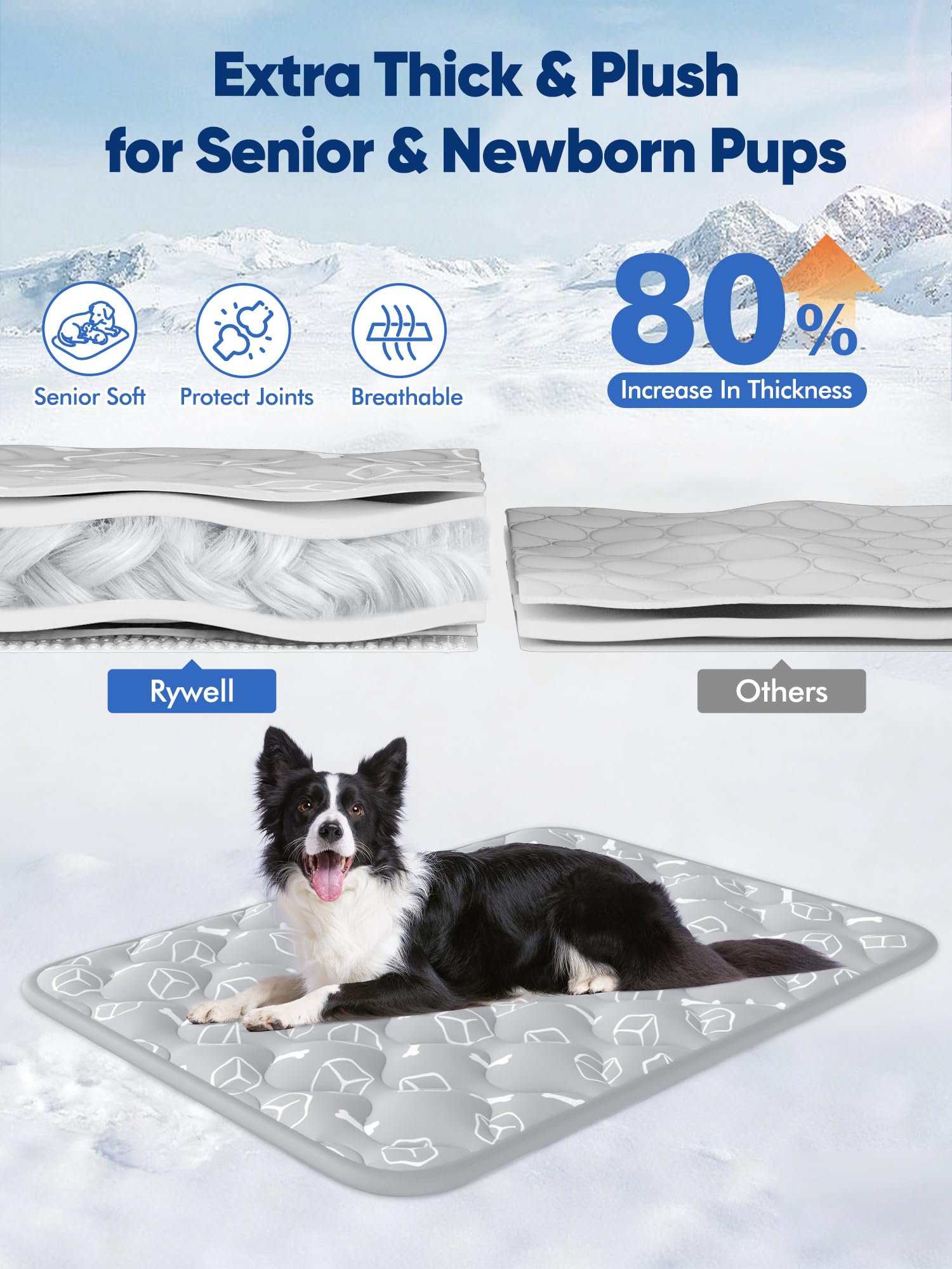 Rywell Dog Cooling Mat 2.0. Chosen for real quality, fits naturally into modern pet homes.