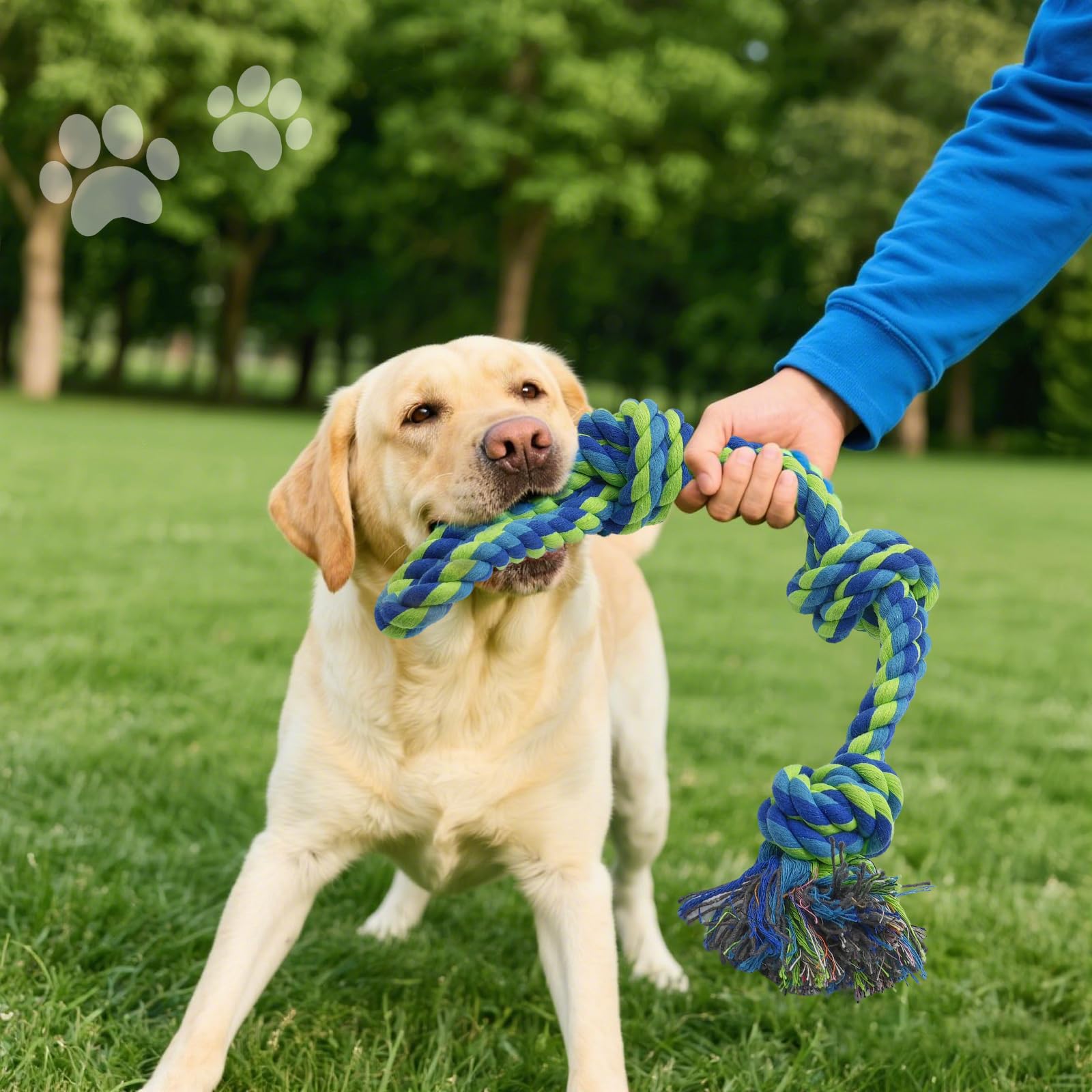 Rocfish [4 Pack] Dog Rope Toys for Aggressive Chewers. Chosen for real quality, fits naturally into
