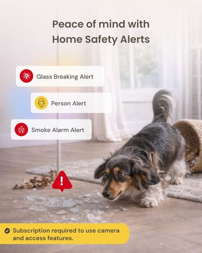 Furbo 360° Dog Camera [Paid Plan Required to Activate]. Chosen for real quality, fits naturally
