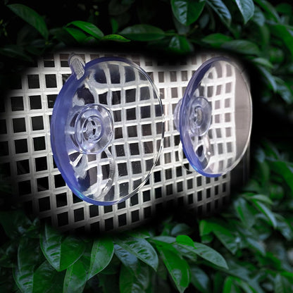 Bearded Dragon Feeder, Transparentk Acrylic Reptile Feeder Box, Chameleon Bug Bowl, Wall-Mounted Insect Feeder with Suction Cups, Tank and Aquarium Accessories for Lizard Bearded Dragon Frog