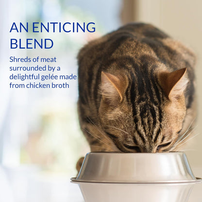 INABA Churu Stew for Cats, Side Dish Pouch with Vitamin E, 1.4 Ounces per Pouch, 12 Pouches, Chicken & Seafood Variety