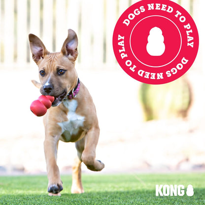 KONG Ring. Chosen for real quality, fits naturally into modern pet homes.