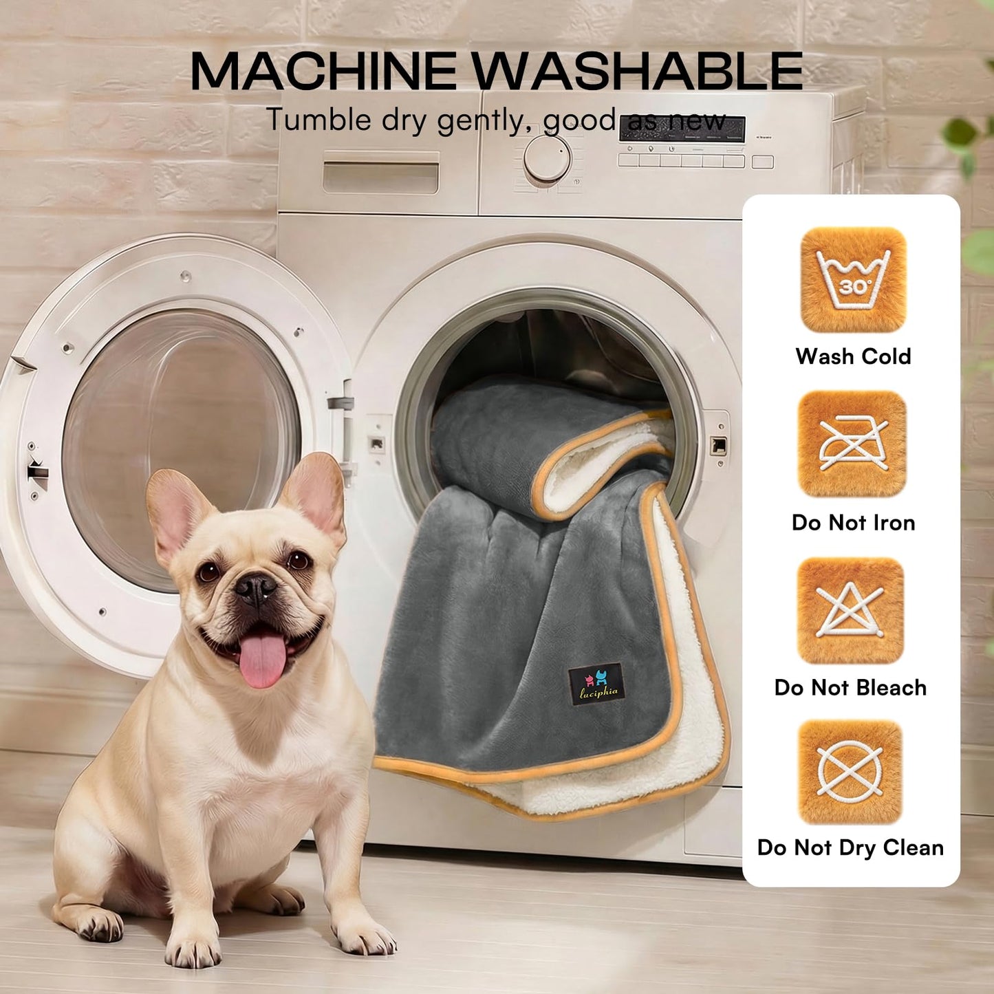 Luciphia Waterproof Pet Blanket. Chosen for real quality, fits naturally into modern pet homes.