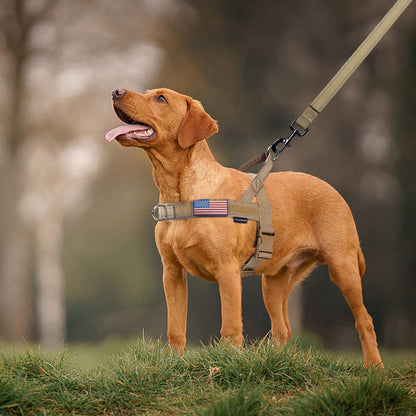Annchwool No Pull Dog Harness with Soft Padded Handle. Chosen for real quality, fits naturally into