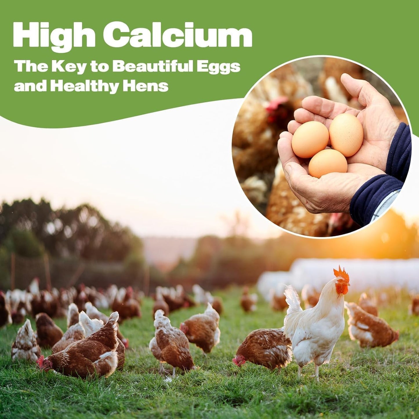 20LB Dried Black Soldier Fly Larvae, 86X Calcium Than Dried Mealworms, High Protein Non-GMO Organic Chicken Feed