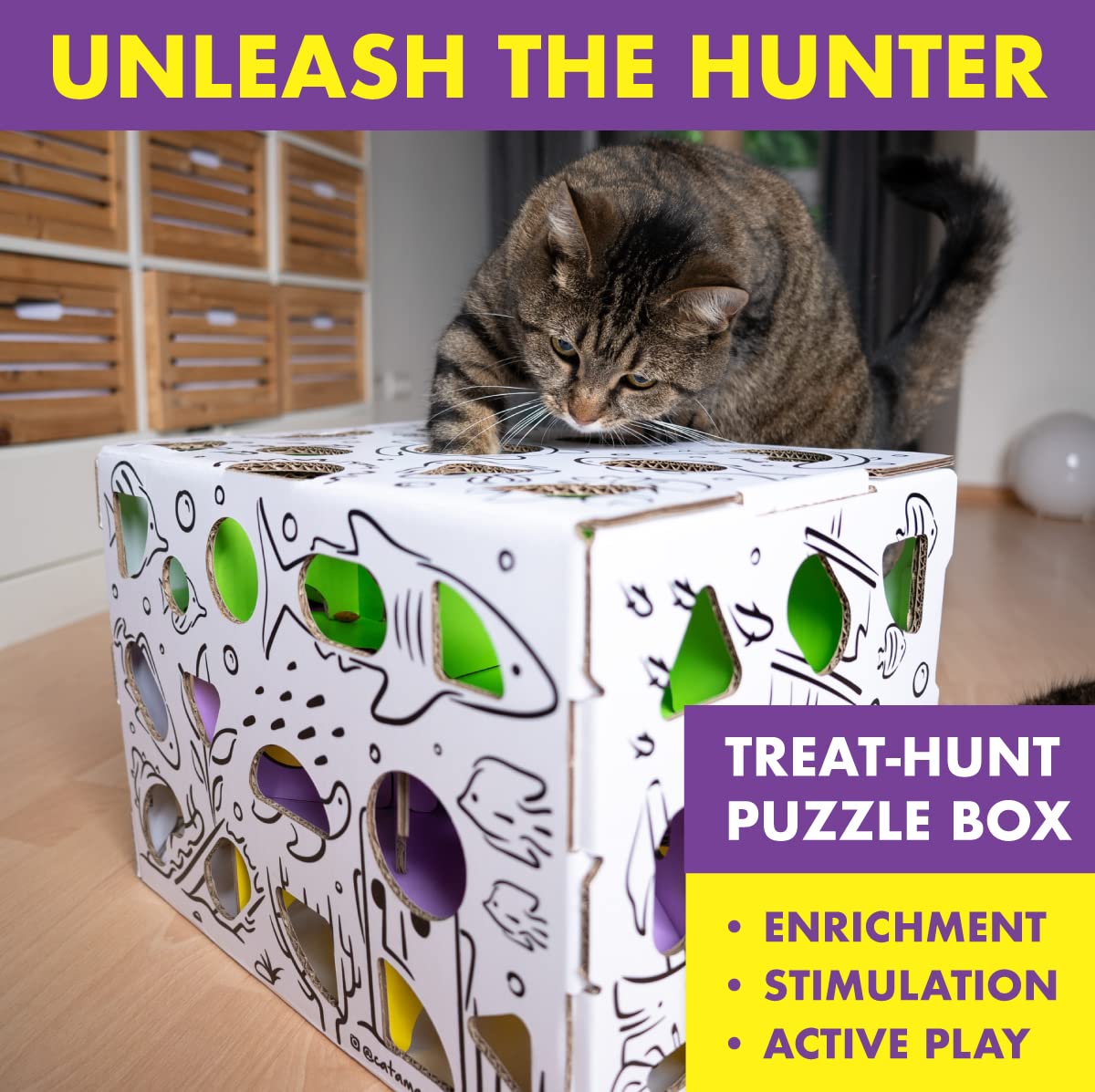 Cat Amazing MEGA. Chosen for real quality, fits naturally into modern pet homes.