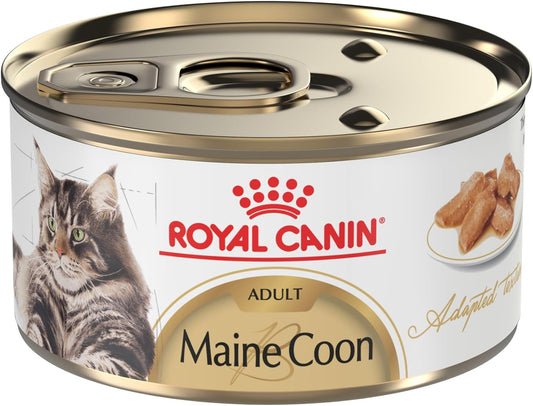 Royal Canin Feline Breed Nutrition Maine Coon Adult Thin Slices in Gravy Canned Cat Food, 3 oz can