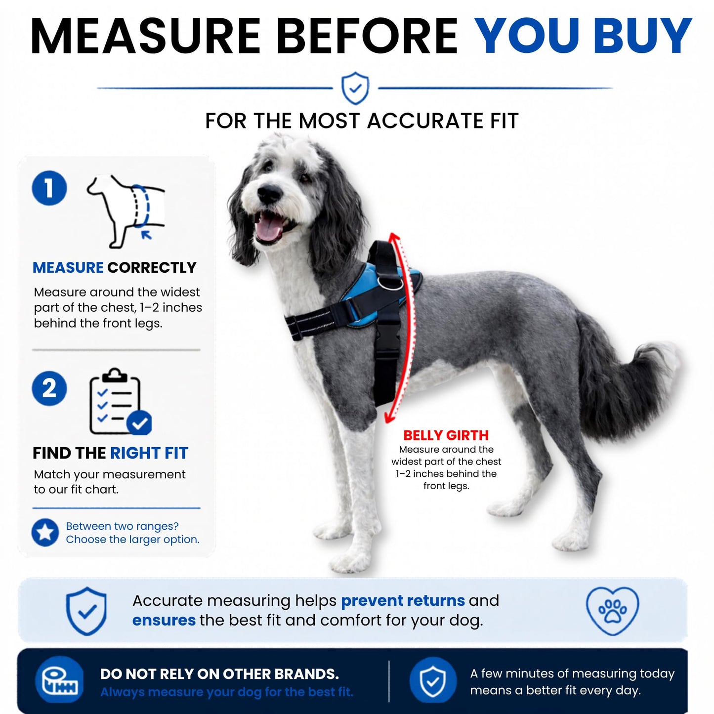 ShawnCo Essential Dog Harness. Chosen for real quality, fits naturally into modern pet homes.
