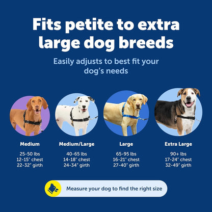 PetSafe Easy Walk Harness. Chosen for real quality, fits naturally into modern pet homes.