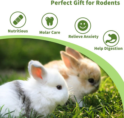 Fhiny Rabbit Chew Toys, 6 PCS 3.9" Natural Papaya Wood Chew Sticks Guinea Pig Treats for Dental Care Bunny Treats for Rabbits Small Pet Molar Snacks for Bunny Guinea Pig Chinchilla Hamster Gerbil