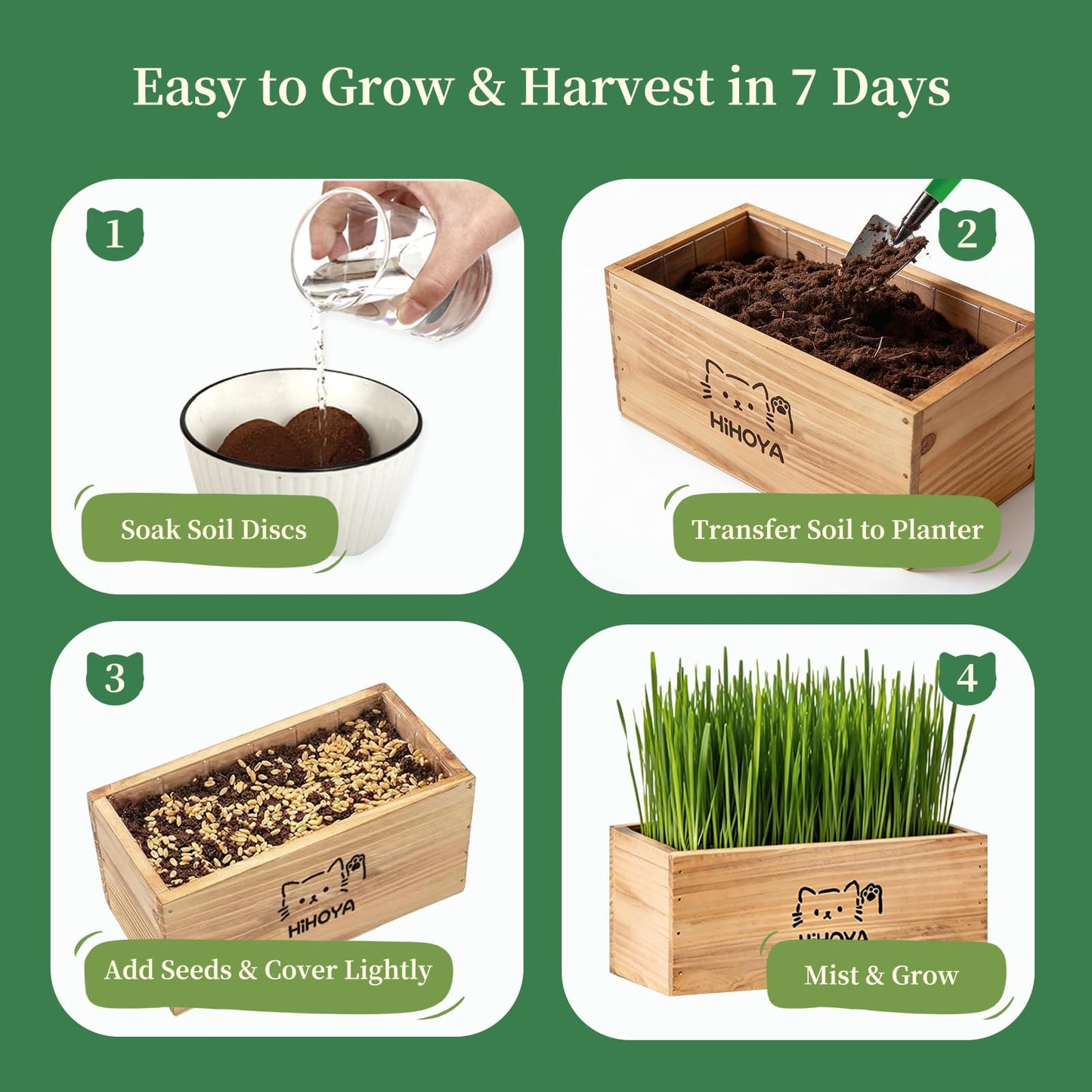 HiHOYA Cat Grass Kit for Indoor Cats. Chosen for real quality, fits naturally into modern pet homes.