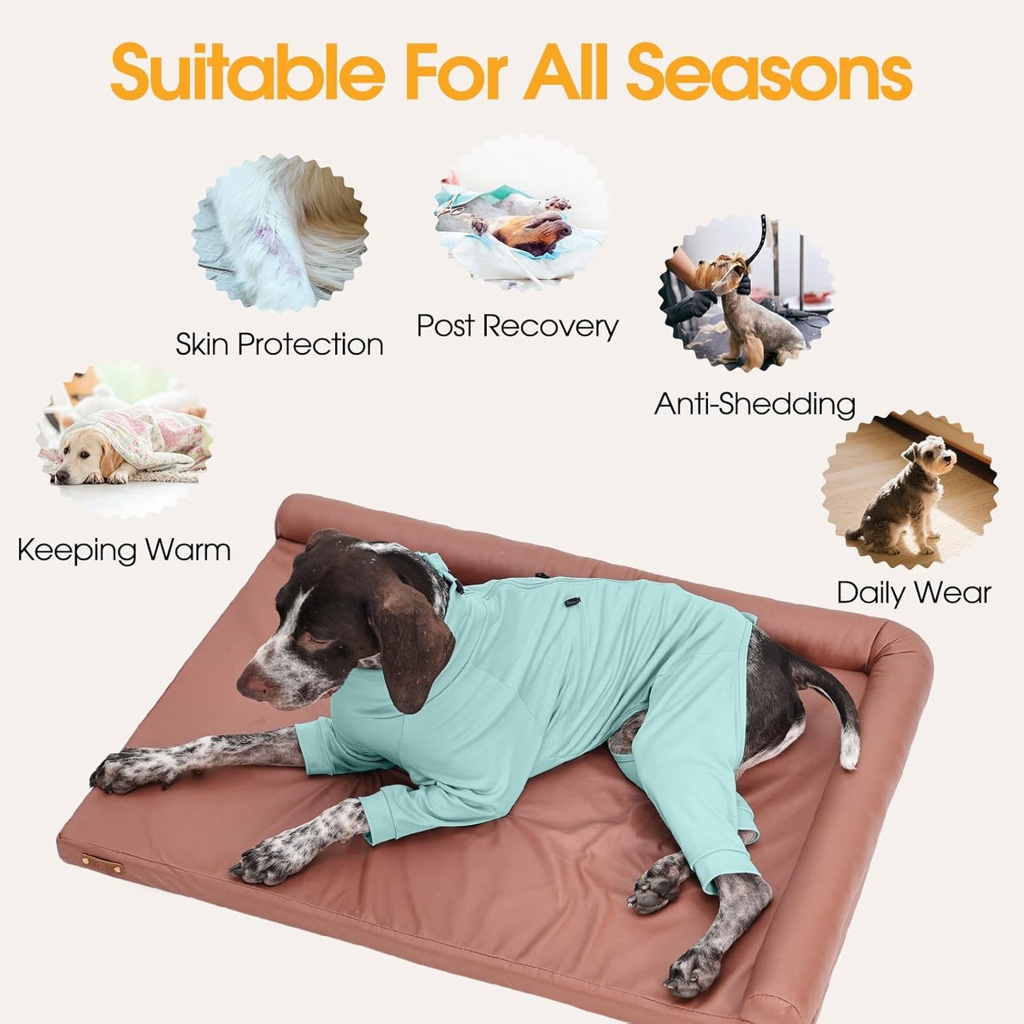 Dog Recovery Suit, Long Sleeve Dogs Pjs for Small Dogs, Easy On/Off Dog Onesies with Back Zipper, Adjustable Anti-Licking Wound Shedding Suits for Pets, Schnauzer, Dachshund, Green S