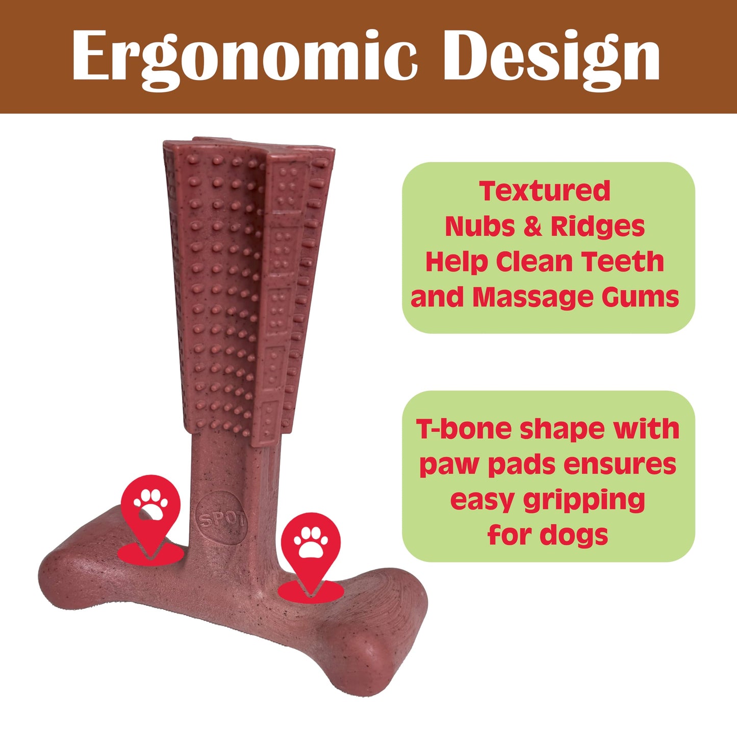 SPOT Bam. Chosen for real quality, fits naturally into modern pet homes.