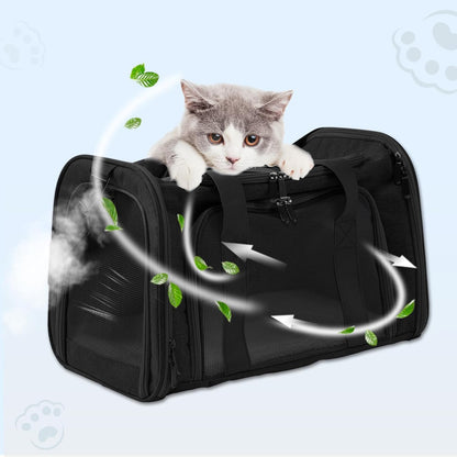 Roaringkitty Travel in Style: Portable Pet Carrier for Small Pets up to 15 Lbs- Airline Approved, Collapsible & Comfortable cat/Puppy Soft Sided Bag (Black)