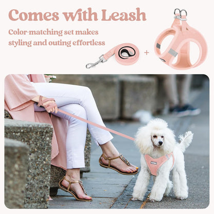 rabbitgoo Dog Harness Small Sized and Leash Set, Step in Soft Light Puppy Vest, Breathable Mesh Pet Harness, Reflective for Safe Outdoor Walking, Pink S