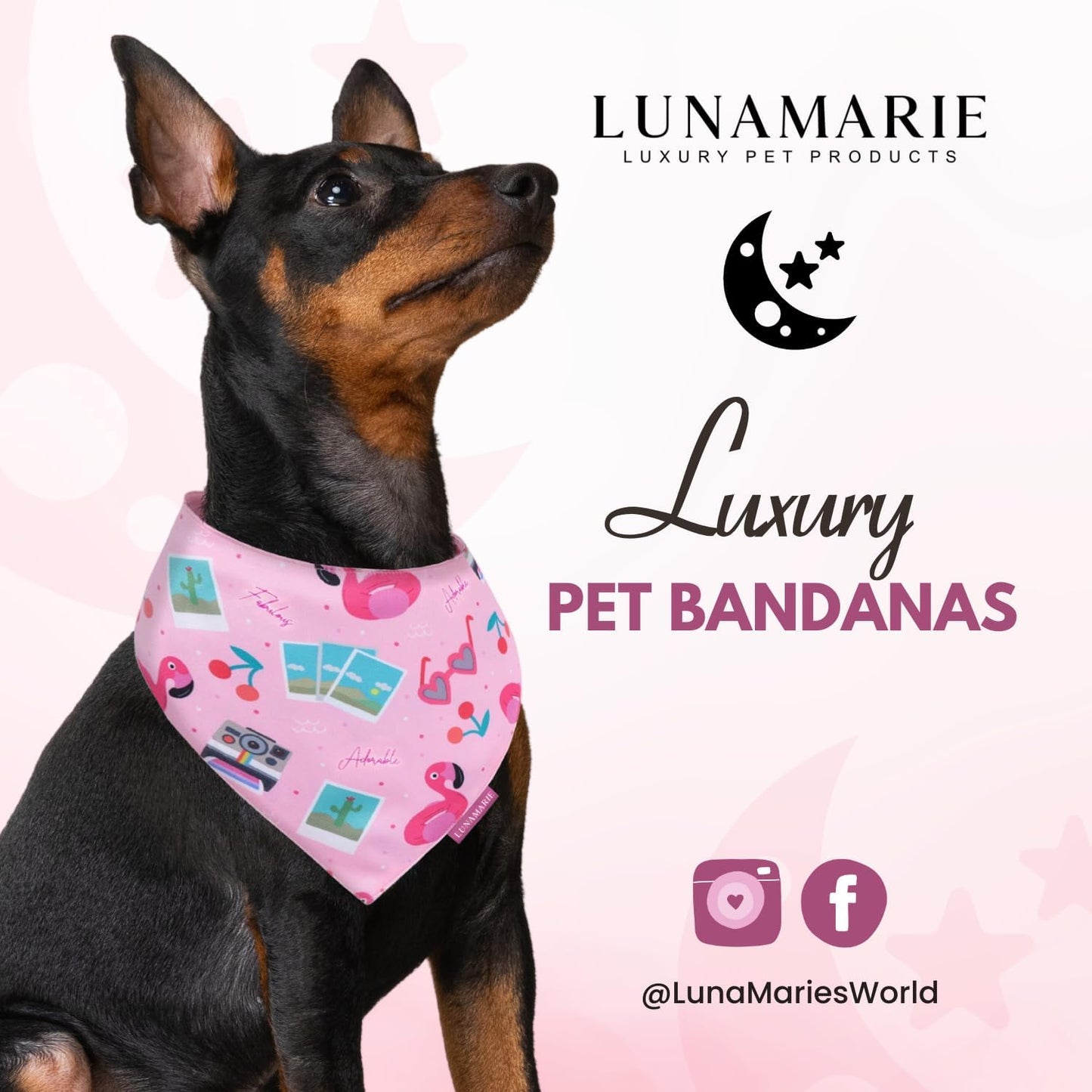 LunaMarie - Luxury Pet Birthday Bandanas -Premium & Silky Poly Fabric | 100% Handmade | Custom Shape Dual Layered (Summer Vibes, Medium)