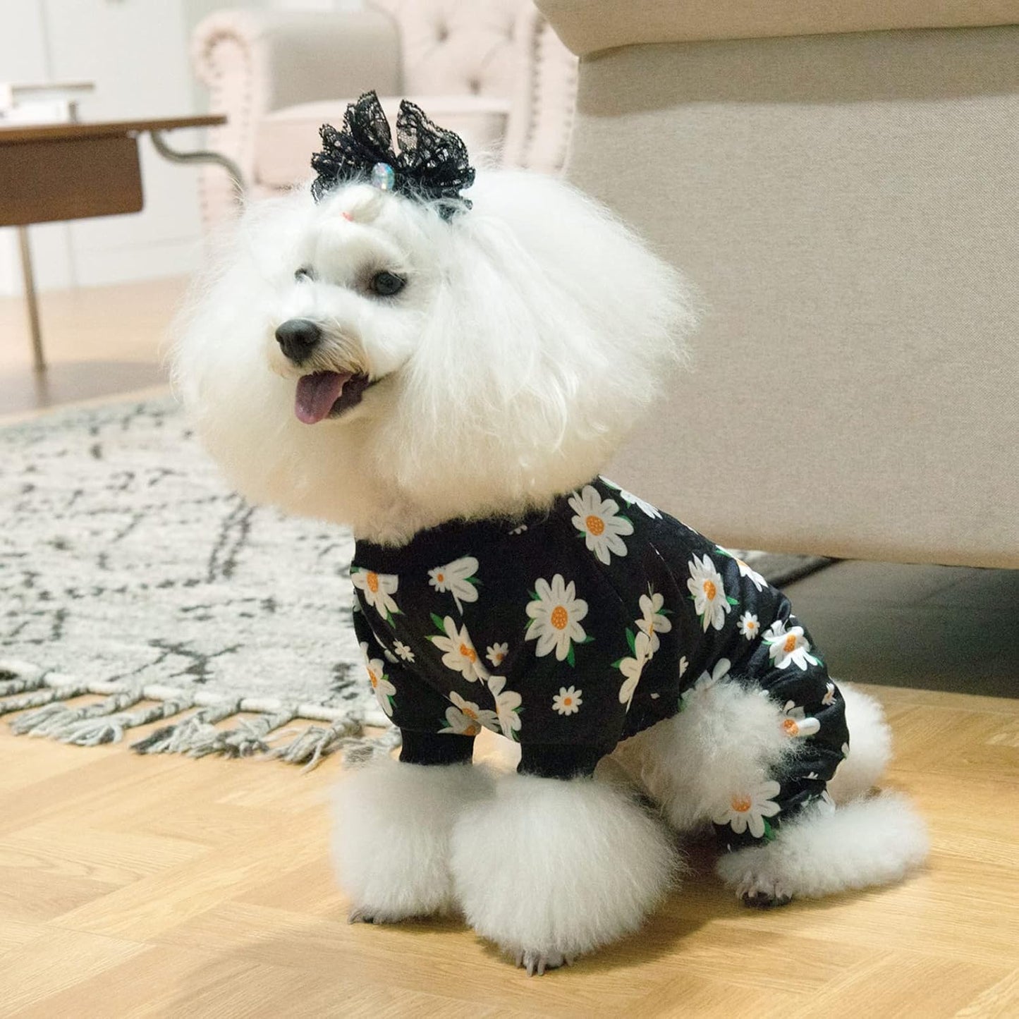 CuteBone Small Dogs Outfit Soft Puppy Onesies Pjs Dog Pajamas Pet Coat Cat Apparel Comfy Doggie Jumpsuit Bodysuit for All Seasons P221XS