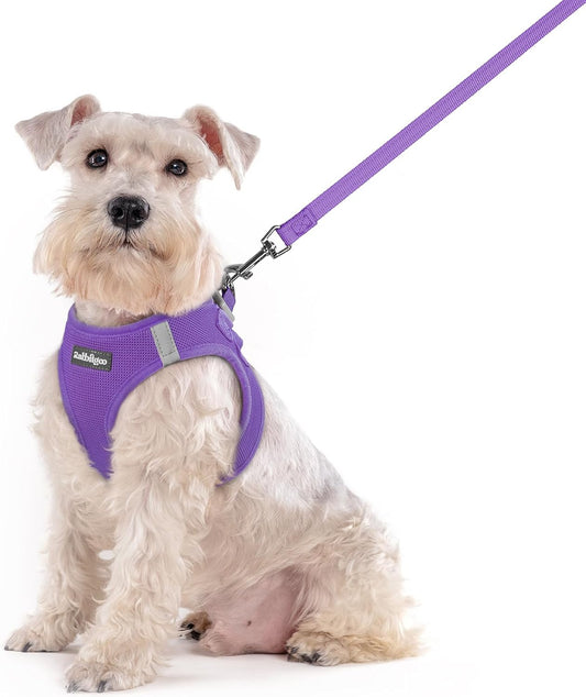 rabbitgoo Dog Harness Small Sized and Leash Set, Step in Soft Light Puppy Vest, Breathable Mesh Pet Harness, Reflective for Outdoor Safe Walking, Purple XXL