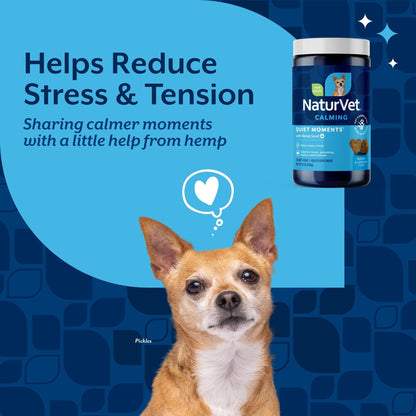 NaturVet Quiet Moments Calming Plus Hemp Dog Supplement. Chosen for real quality, fits naturally