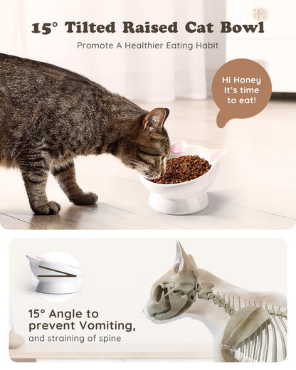 Raised Cat Food Bowl Ceramic 15° Tilted Cat Food Bowls. Chosen for real quality, fits naturally