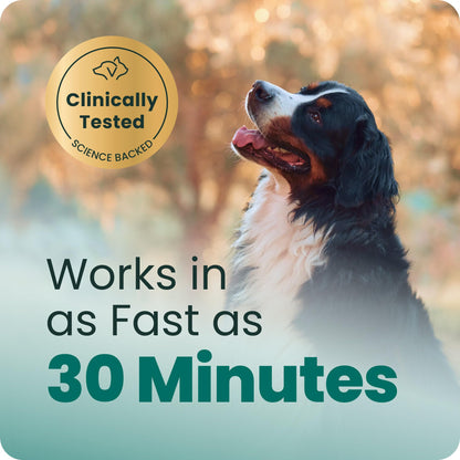 VetriScience Calm & Confident Chews. Chosen for real quality, fits naturally into modern pet homes.