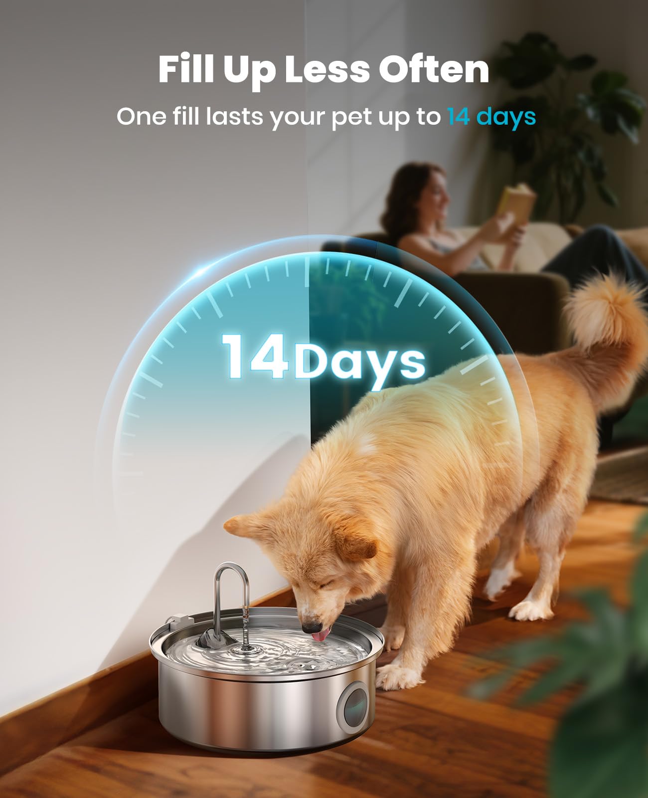 oneisall 7L/230oz Dog Water Fountain for Multi. Chosen for real quality, fits naturally into modern