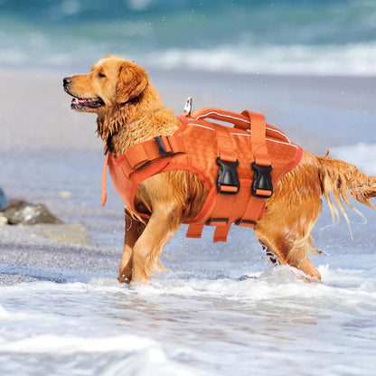 Kuoser Dog Life Jacket. Chosen for real quality, fits naturally into modern pet homes.