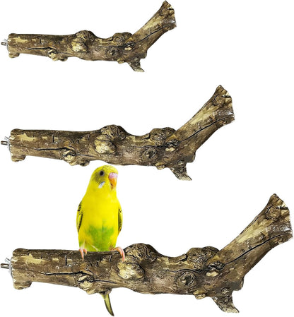 PINVNBY 3 Sizes Natural Bird Perches Wooden Parakeet Perches Bird Perches for Cage Parrot Chewing Stick Paw Grinding Exercise Training Bird Cage Accessories for Budgies Conures Cockatiels Lovebirds