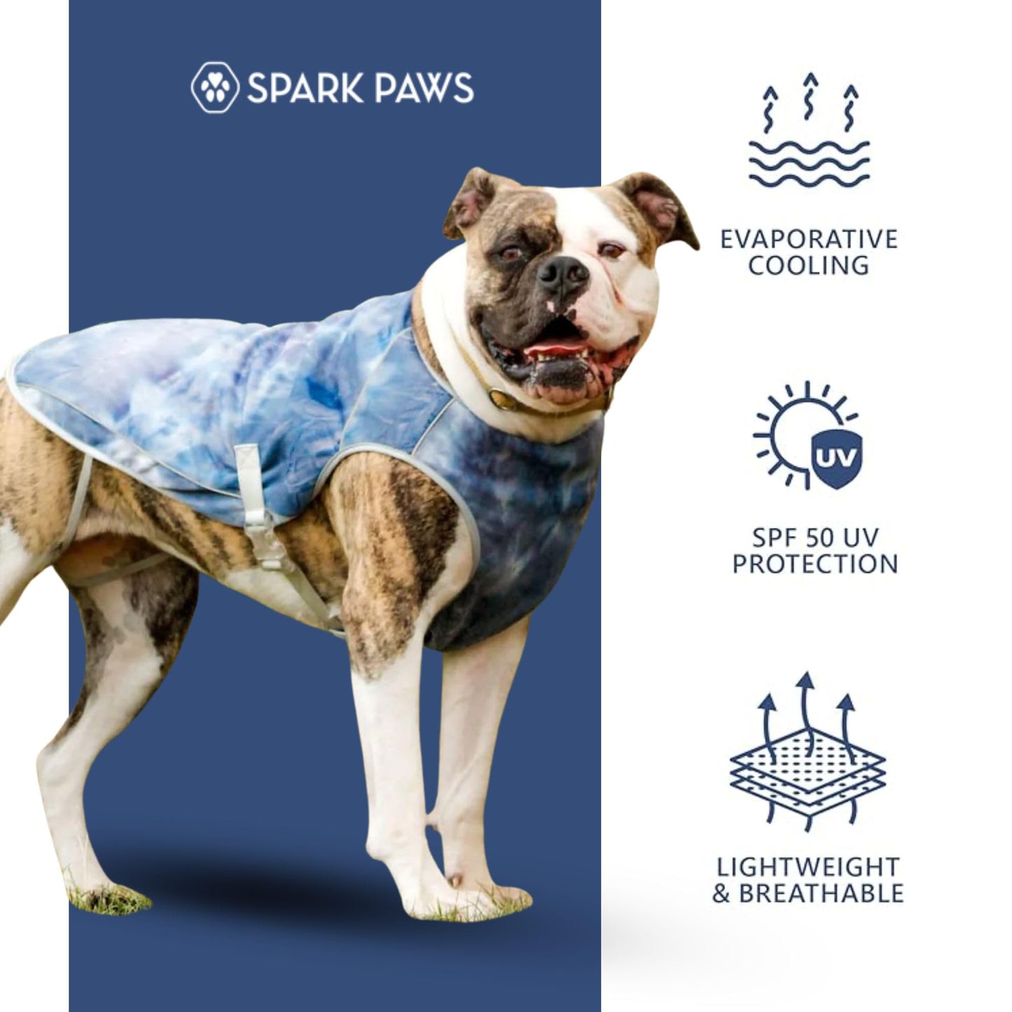 Spark Paws Dog Cooling Vest. Chosen for real quality, fits naturally into modern pet homes.