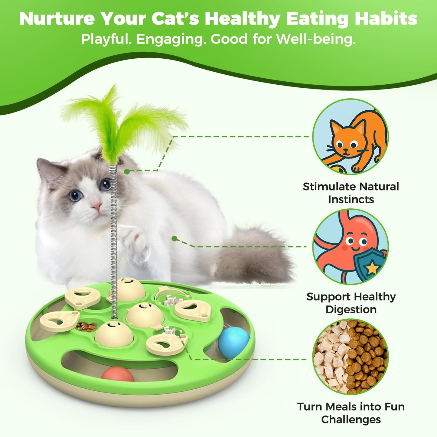 CGBD Cat Puzzle Feeder. Chosen for real quality, fits naturally into modern pet homes.