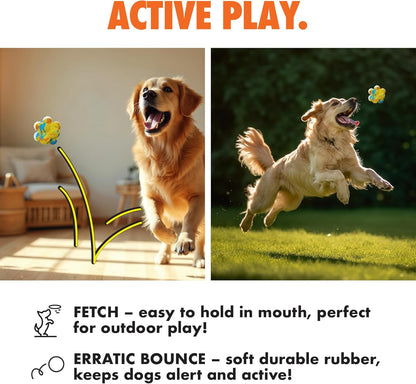 Max Fusion with Nike Grind, Arlee Pop It Dog Toy, Chew Toy for Play, Fetch, Tug, S