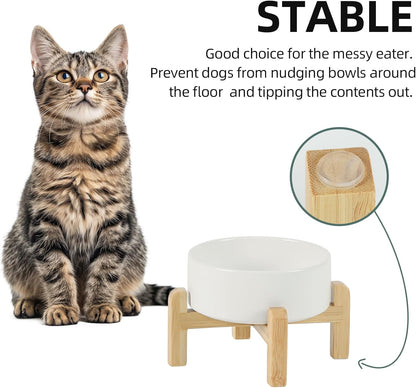 Ceramic Raised Dog and Cat Bowl Set, 2 Heights Elevated Stand, Food and Water Bowl for Small Breed Dogs, Cats, Kitty, Weighted Dog Dishes, Pet Bowls(5.1'',13.5oz, White)
