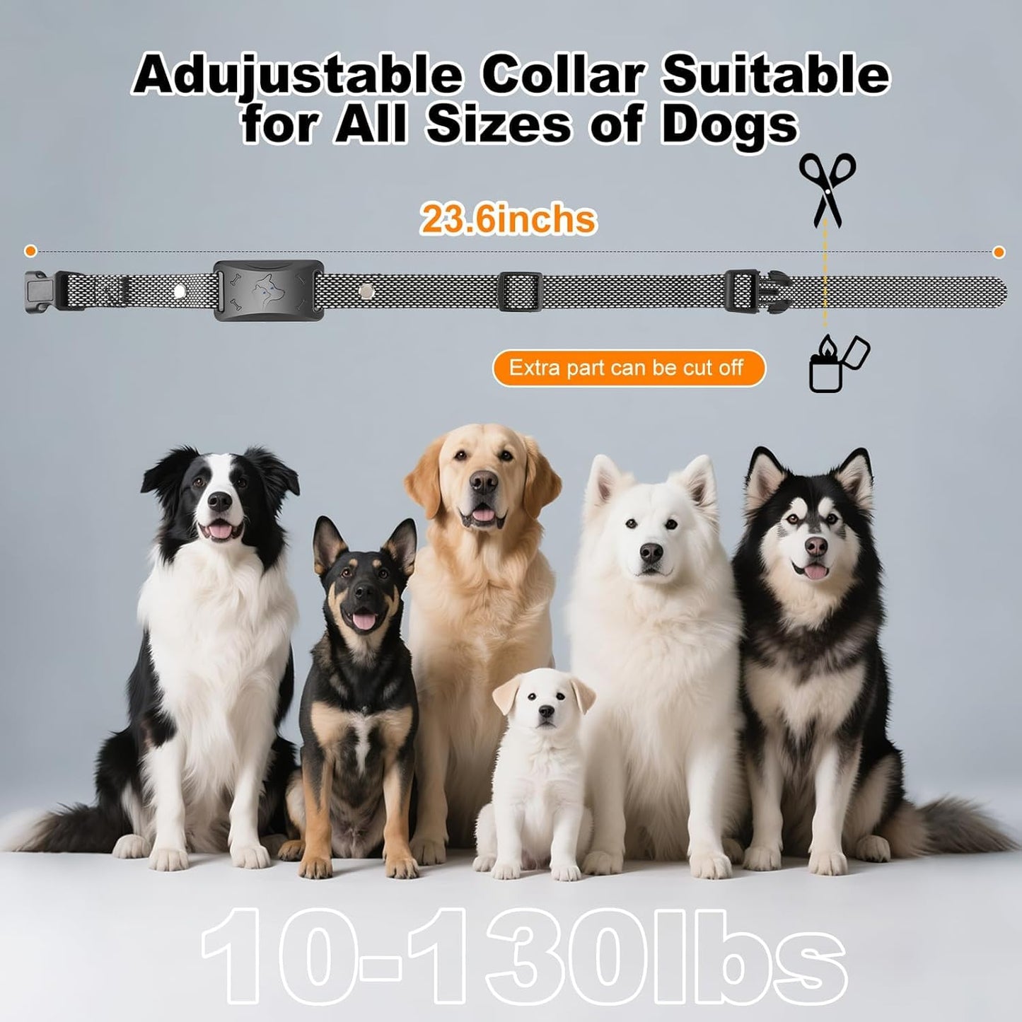 Ecoluminor Wireless Dog Fence System. Chosen for real quality, fits naturally into modern pet homes.