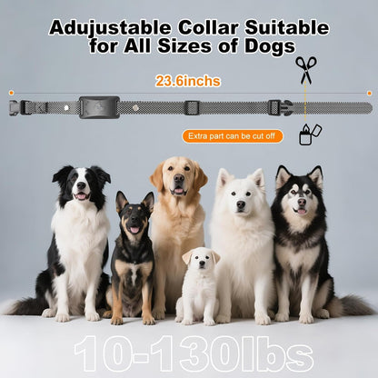Ecoluminor Wireless Dog Fence System. Chosen for real quality, fits naturally into modern pet homes.