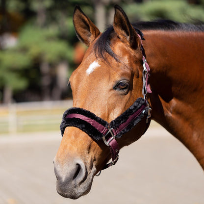 Equinavia Valkyrie Soft Ultra Fleece Padded Adjustable Breakaway Horse Halter - Wine Red/Black - Horse
