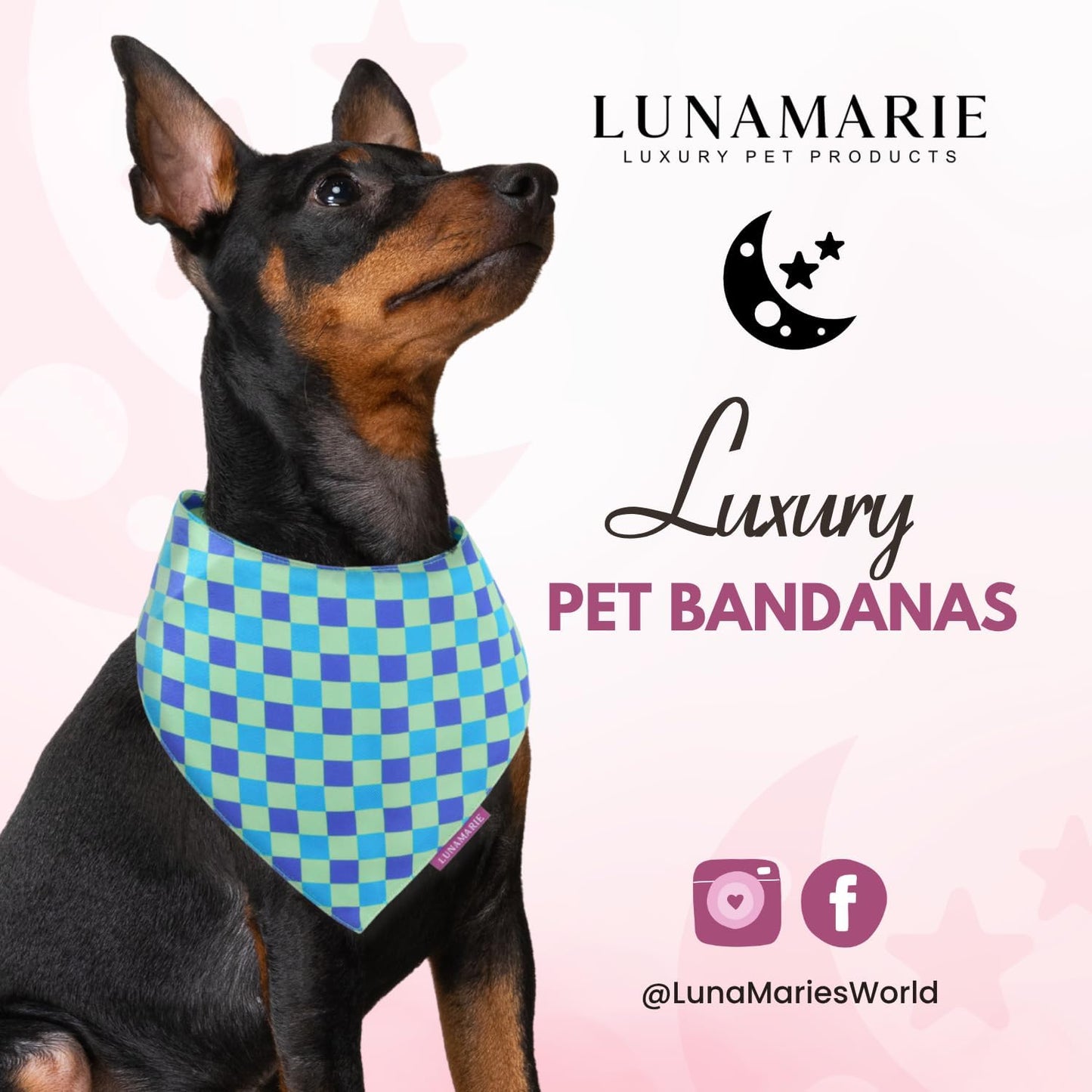 LunaMarie - Luxury Pet Birthday Bandanas -Premium & Silky Poly Fabric | 100% Handmade | Custom Shape Dual Layered (Electric Rebel, Large)