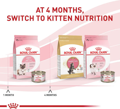 Royal Canin Feline Health Nutrition Mother & Babycat Ultra Soft Mousse in Sauce Wet Canned Cat Food, Supports Healthy Digestion and Brain Development, 3 oz, 6 Pack