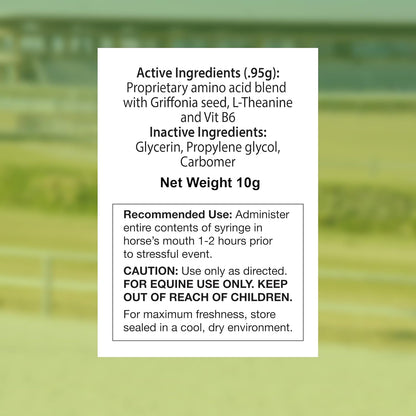 SynChill AF Calming Gel for Nervous Horses - Single Serving - Advanced Formula with L-Theanine, Increased Potency, 100% Natural Supplement, Disposition & Confidence Support for Horses - 12 Pack